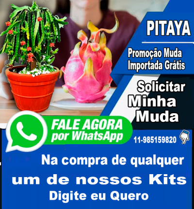 Kit muda 50 CM