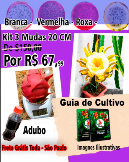 Kit 4 muda 20 Cm